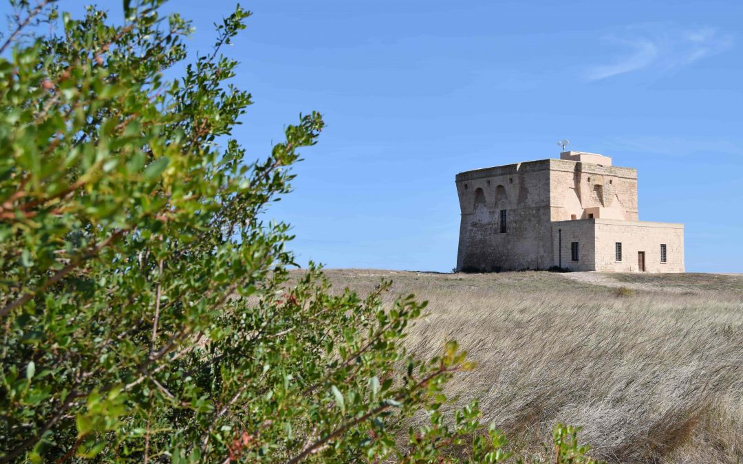 Hiking tour of the Torre Guaceto nature reserve
