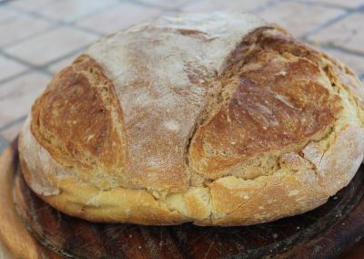 Bread Tasting – Pane di Altamura and Pane di Matera